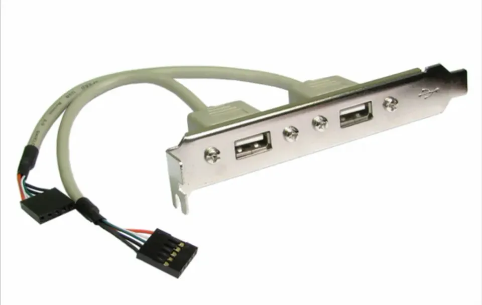 Kenable USB 2.0 Slotblech 2-Port Backplate