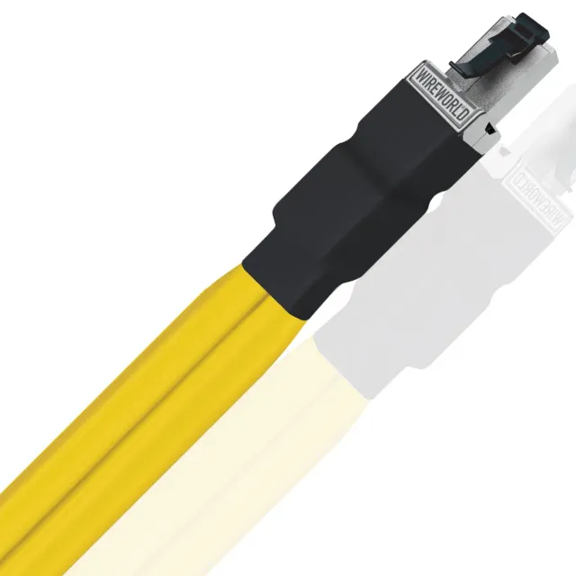 WireWorld Chroma 10 Ethernetkabel 1,0m Twinax