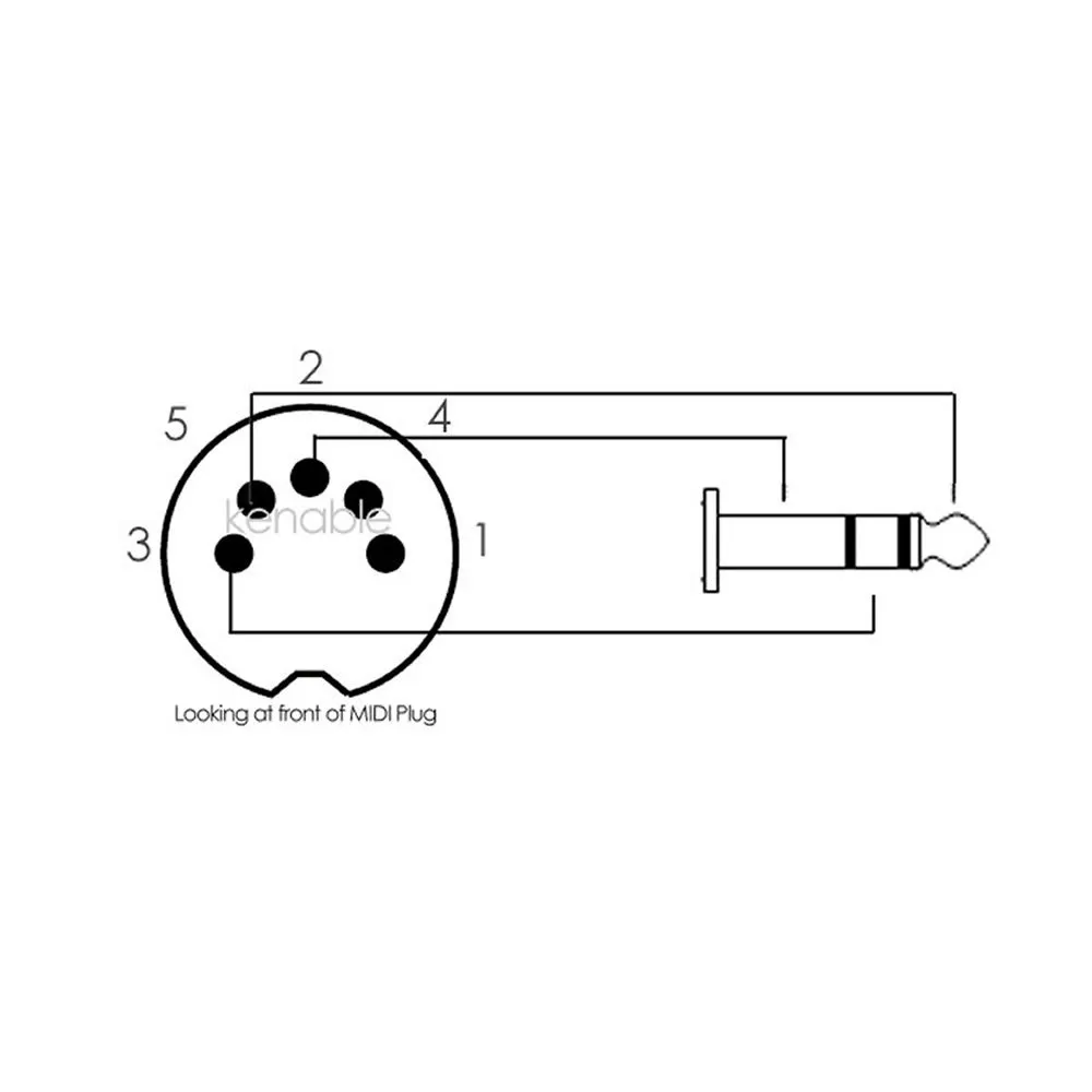 Kenable 5-Pin-DIN auf 3,5mm Klinke Audiokabel 3m Schwarz Stereo