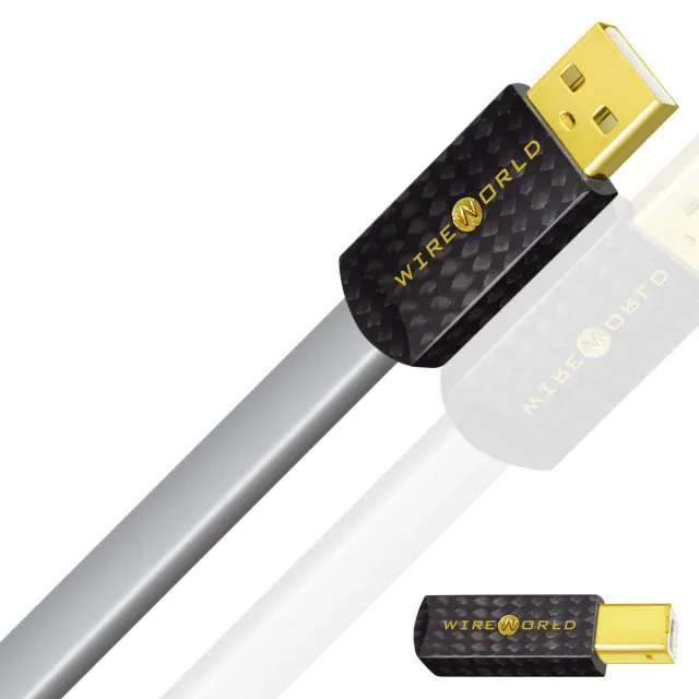 WireWorld Platinum Starlight 8 USB-Kabel A-B 1,0 m Reinsilber