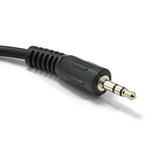 kenable 3,5mm auf 6,35mm Klinkenkabel 0,25m Stereo